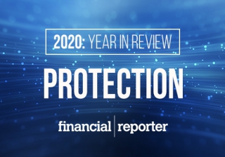 protection year in review