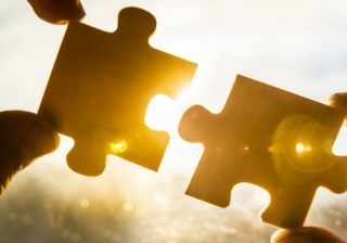 puzzle piece partnership