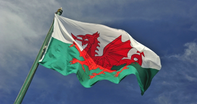 Towergate Insurance appoints head of legal indemnities welsh wales flag dragon