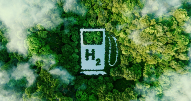 World’s first green and blue hydrogen risk insurance facility launched Forest with H2 written in the middle